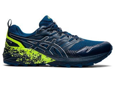 Tenis Para Trail Running Asics Gel-trabuco Terra Hombre Azules Plateados | MX7462-351